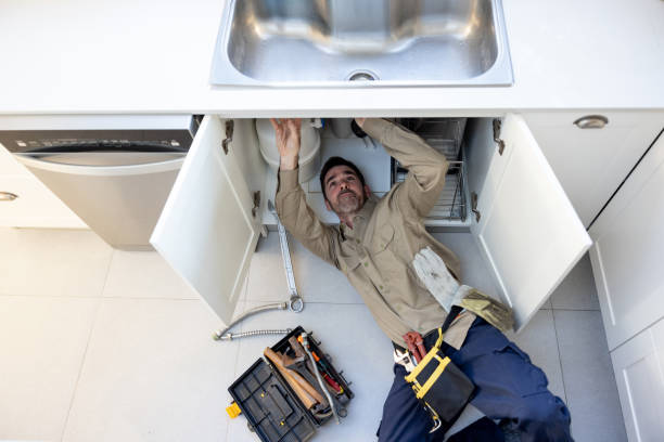 Best Clogged Drain Plumber  in Jefferson, WI